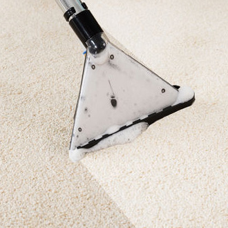 Best Professional Carpet Cleaning